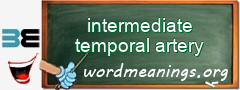 WordMeaning blackboard for intermediate temporal artery